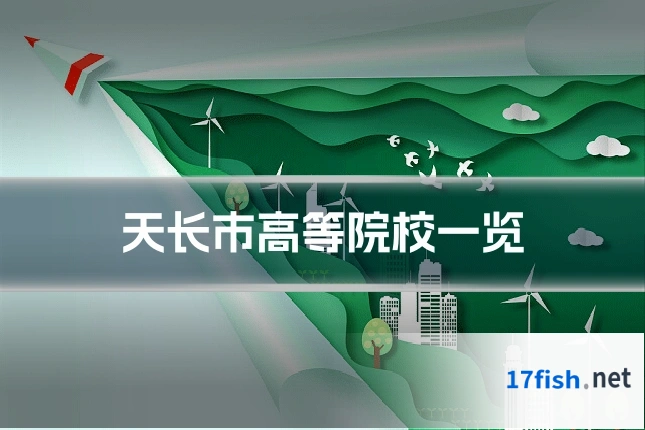 天长市高等院校一览