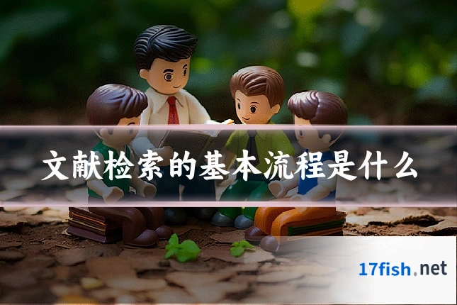 文献检索的基本流程是什么