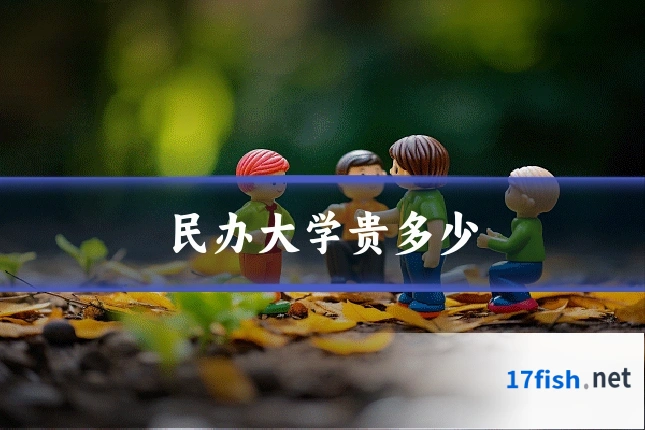 民办大学贵多少