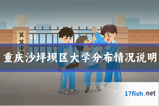 重庆沙坪坝区大学分布情况说明