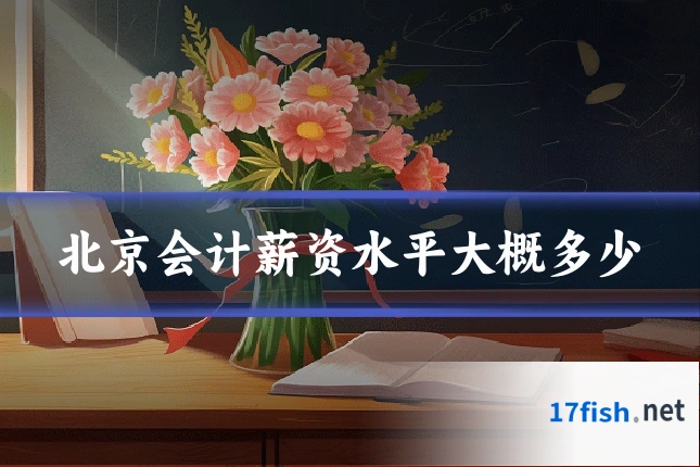 北京会计薪资水平大概多少