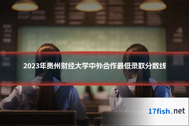 2023年贵州财经大学中外合作最低录取分数线
