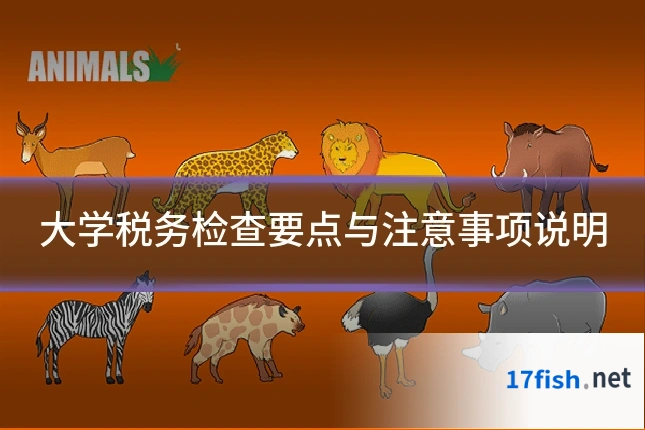 大学税务检查要点与注意事项说明