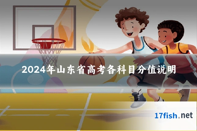 2024年山东省高考各科目分值说明