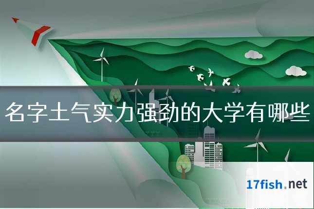 名字土气实力强劲的大学有哪些