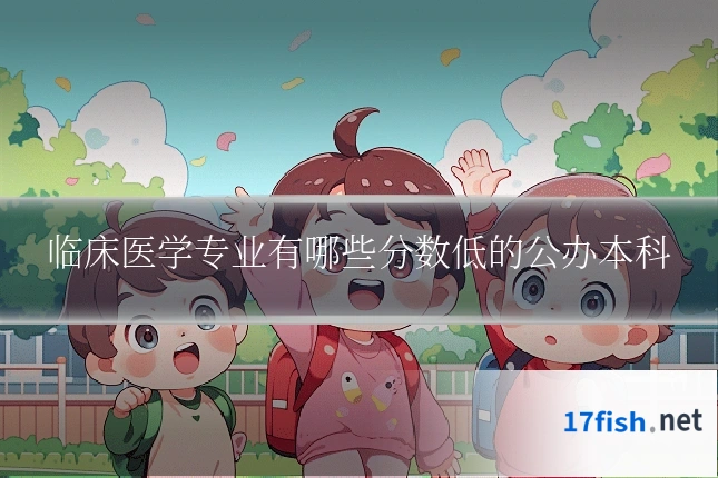 临床医学专业有哪些分数低的公办本科