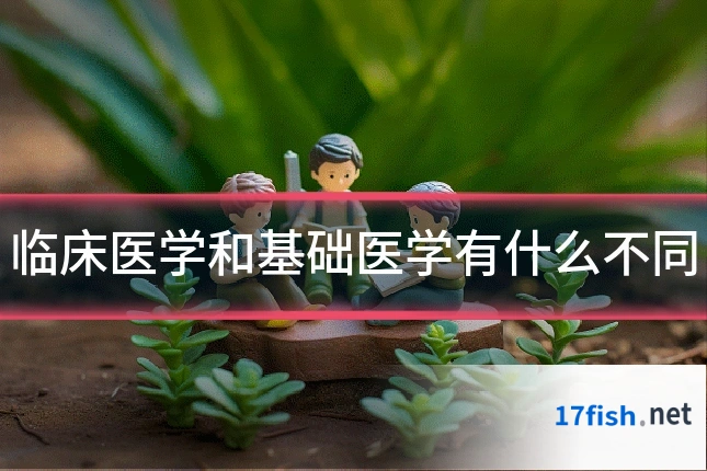 临床医学和基础医学有什么不同