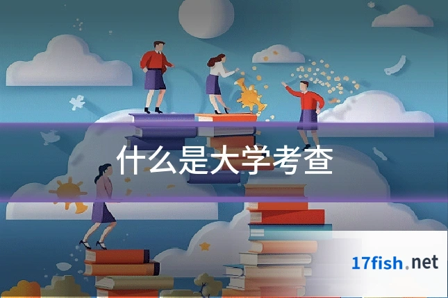 什么是大学考查