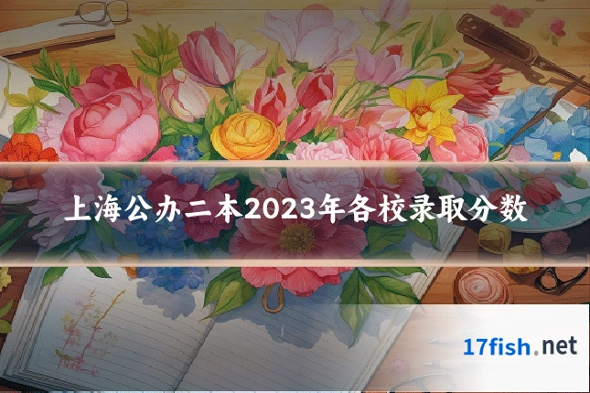 上海公办二本2023年各校录取分数