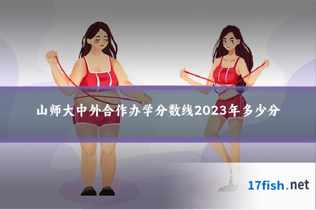 山师大中外合作办学分数线2023年多少分