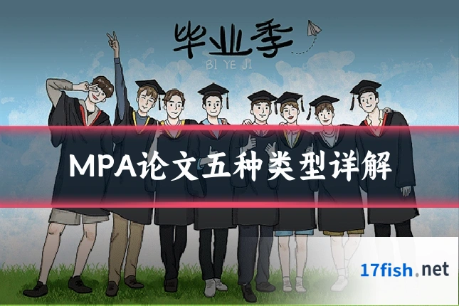 MPA论文五种类型详解
