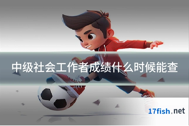 中级社会工作者成绩什么时候能查