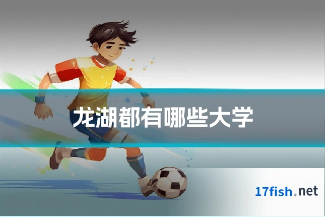 龙湖都有哪些大学