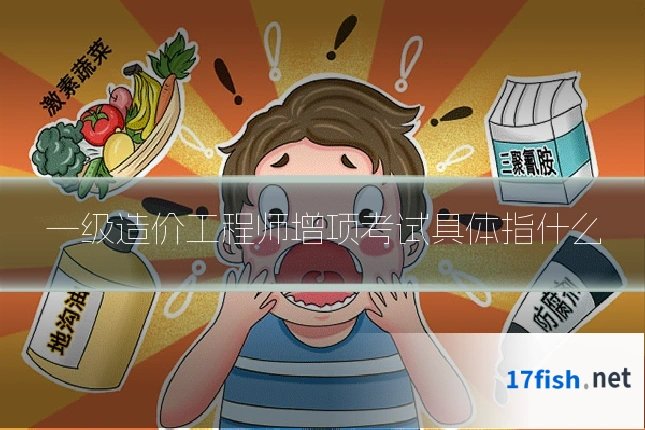 一级造价工程师增项考试具体指什么