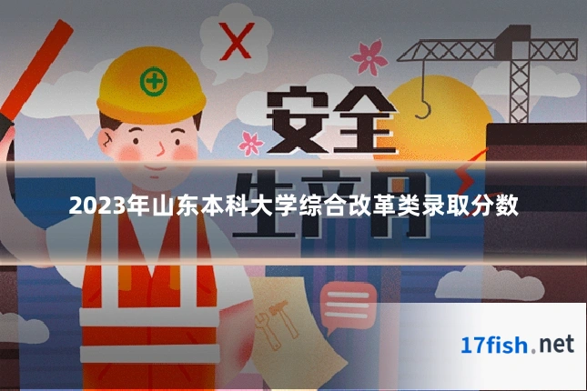 2023年山东本科大学综合改革类录取分数