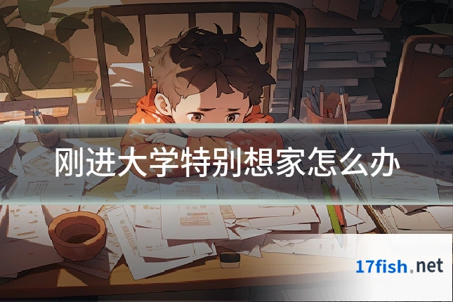 刚进大学特别想家怎么办
