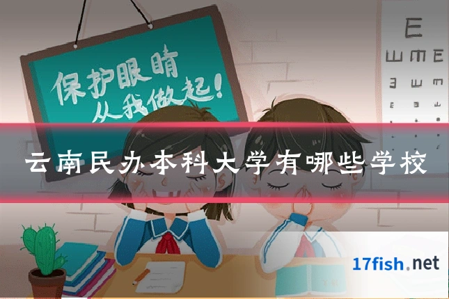 云南民办本科大学有哪些学校