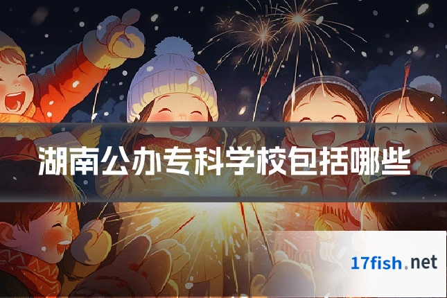 湖南公办专科学校包括哪些