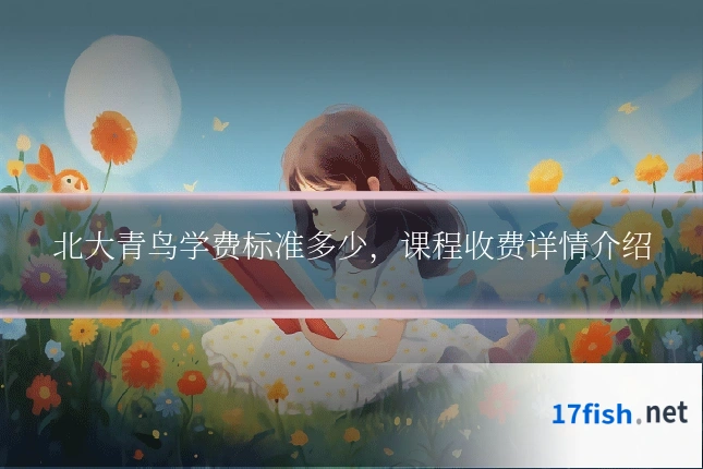 北大青鸟学费标准多少,课程收费详情介绍