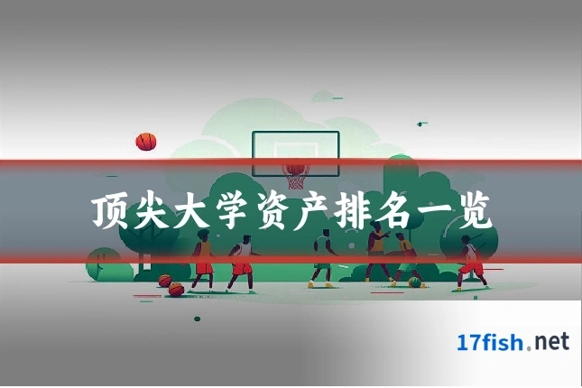 顶尖大学资产排名一览