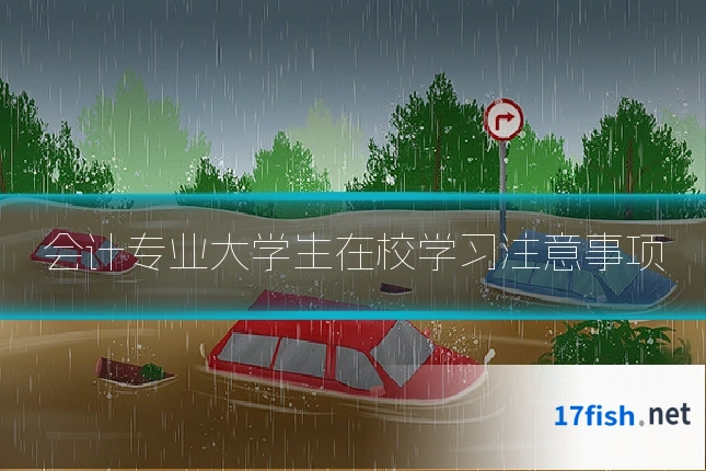 会计专业大学生在校学习注意事项