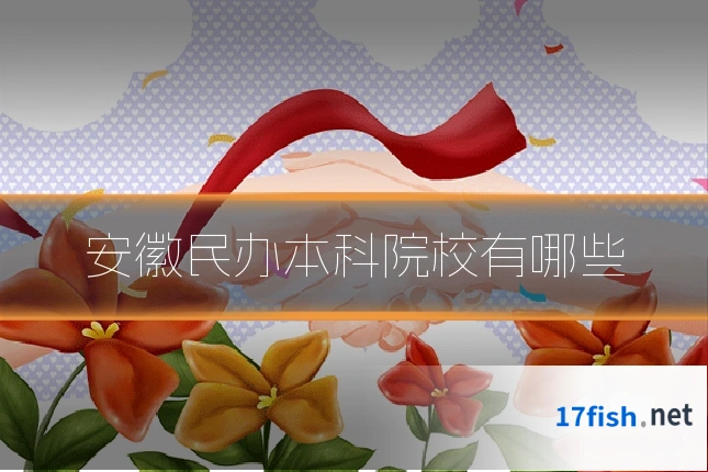 安徽民办本科院校有哪些