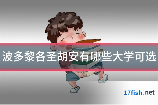 波多黎各圣胡安有哪些大学可选