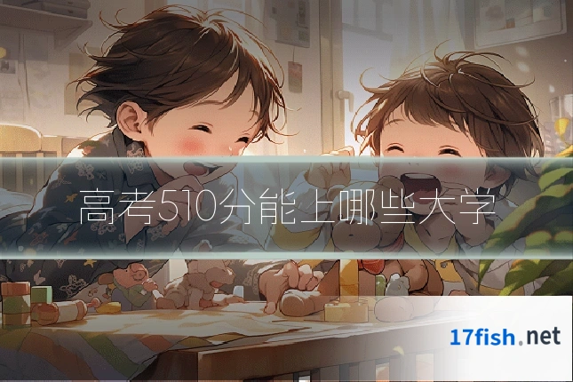 高考510分能上哪些大学