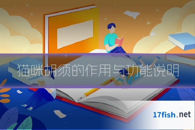 猫咪胡须的作用与功能说明