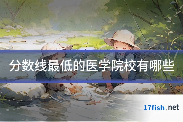 分数线最低的医学院校有哪些