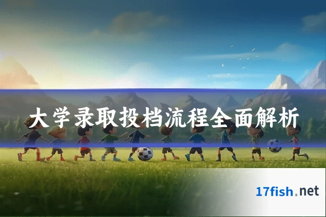 大学录取投档流程全面解析