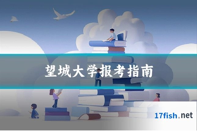 望城大学报考指南