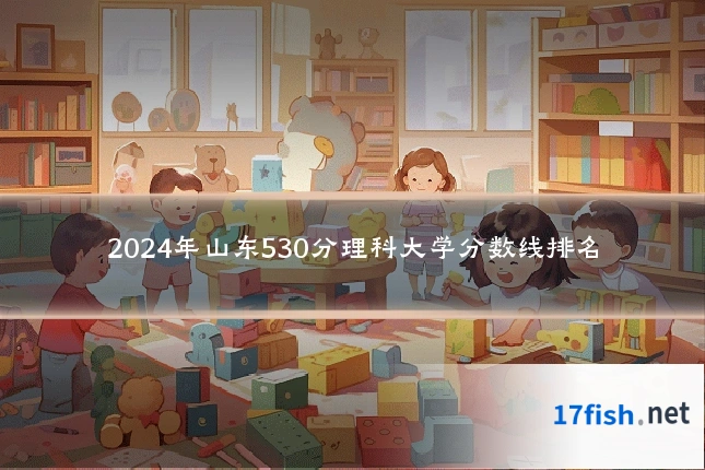 2024年山东530分理科大学分数线排名