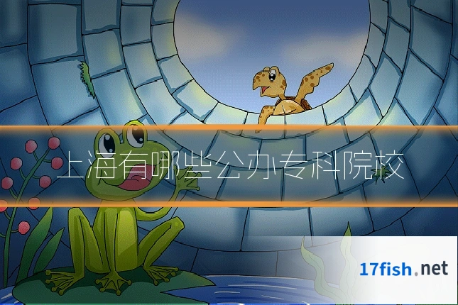上海有哪些公办专科院校