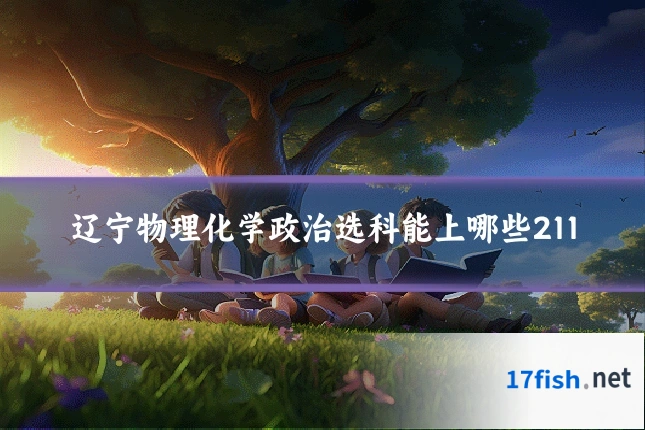 辽宁物理化学政治选科能上哪些211