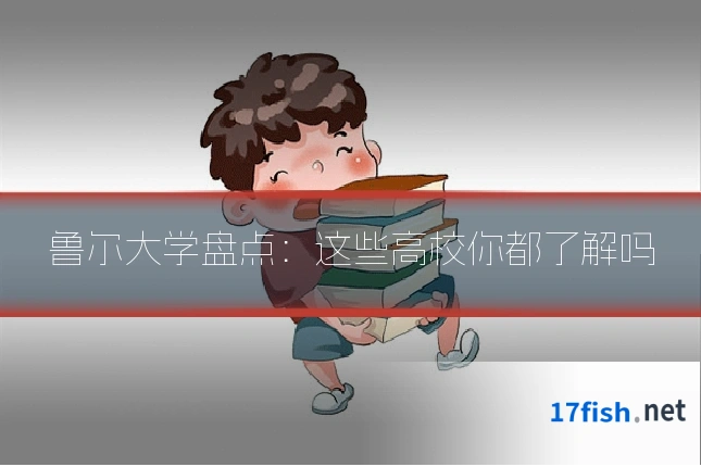 鲁尔大学盘点：这些高校你都了解吗