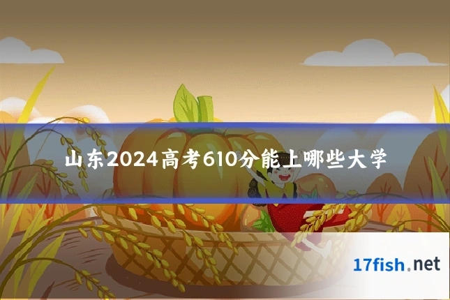 山东2024高考610分能上哪些大学
