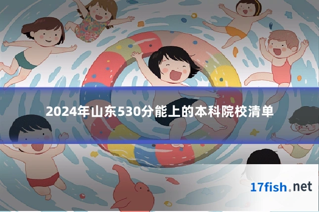 2024年山东530分能上的本科院校清单