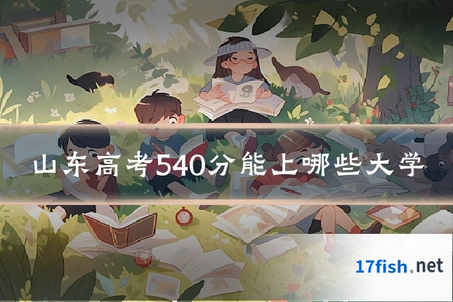 山东高考540分能上哪些大学
