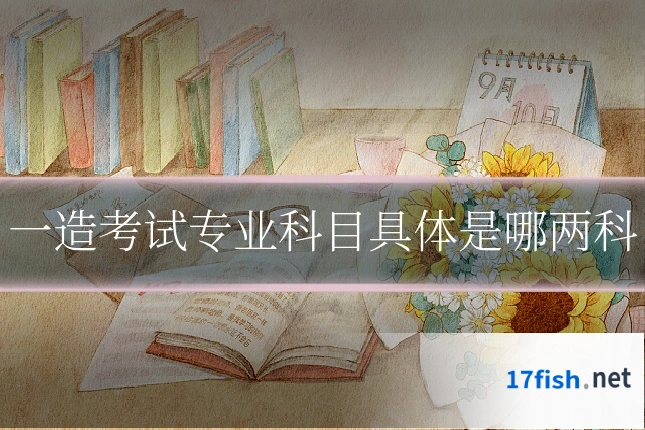 一造考试专业科目具体是哪两科