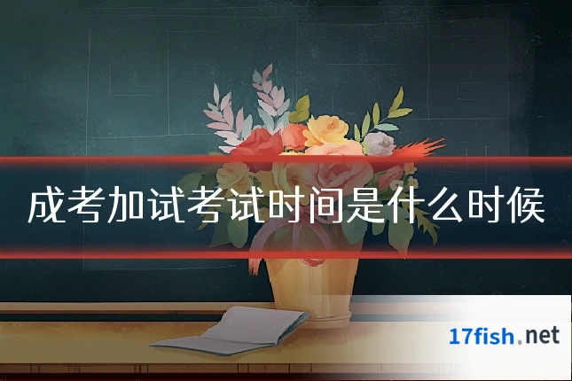 成考加试考试时间是什么时候