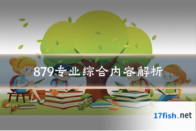 879专业综合内容解析