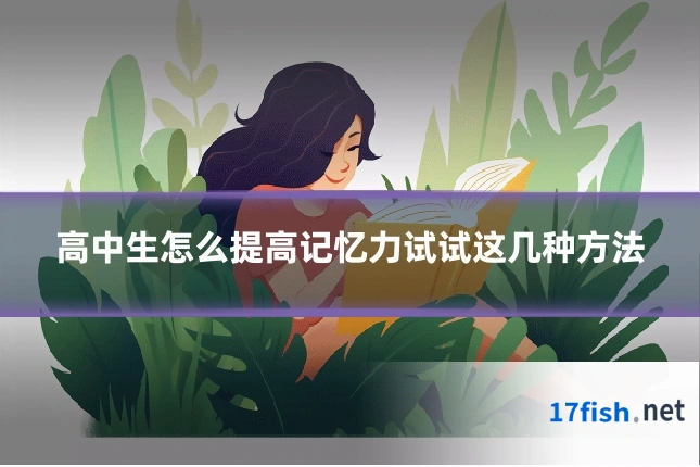 高中生怎么提高记忆力试试这几种方法