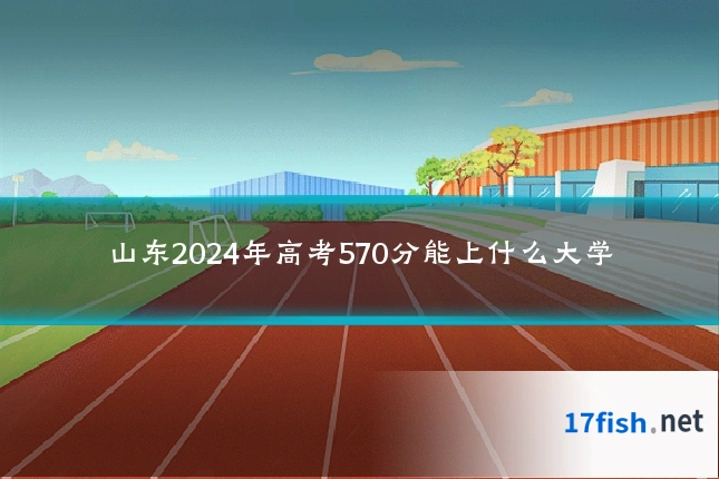 山东2024年高考570分能上什么大学