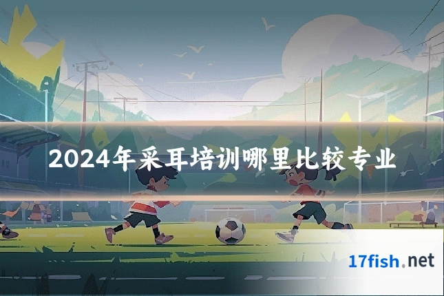 2024年采耳培训哪里比较专业