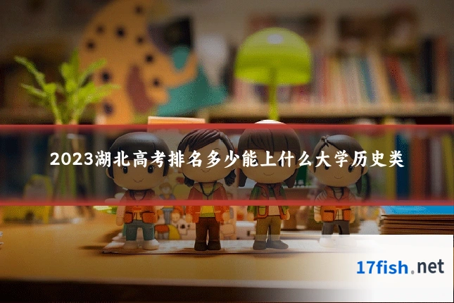 2023湖北高考排名多少能上什么大学历史类