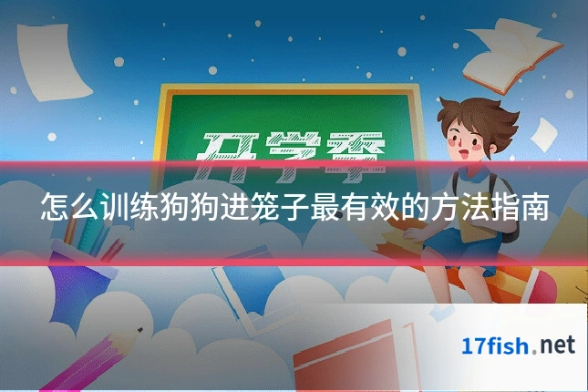 怎么训练狗狗进笼子最有效的方法指南