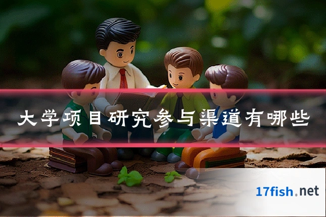 大学项目研究参与渠道有哪些