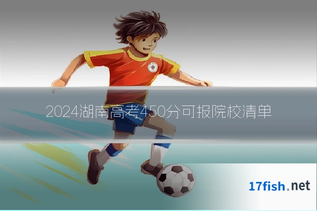 2024湖南高考450分可报院校清单