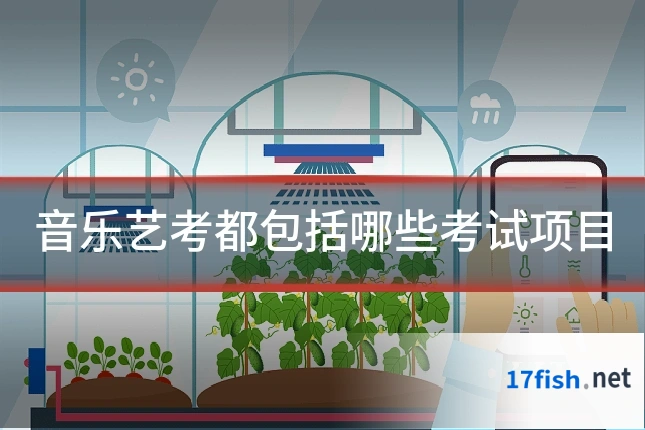 音乐艺考都包括哪些考试项目